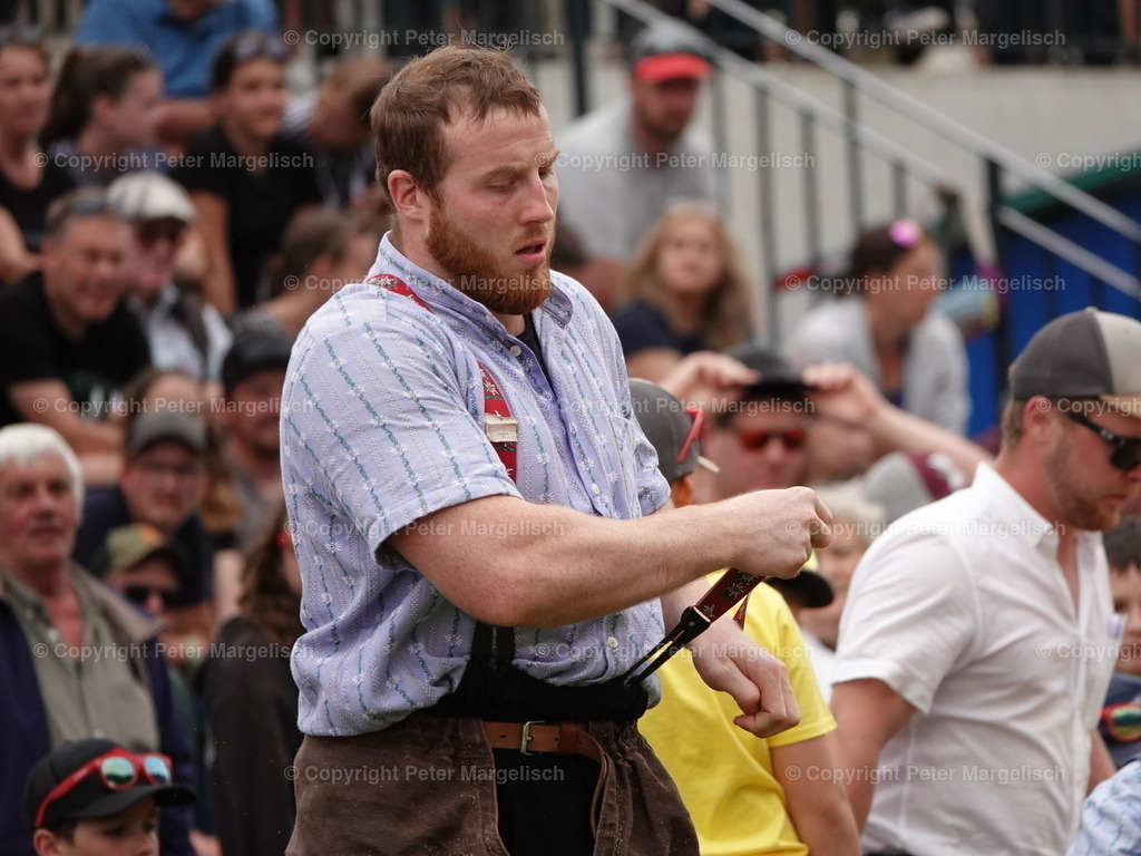 DSC07502 | Schwingen - Realisiert mit Pictrs.com