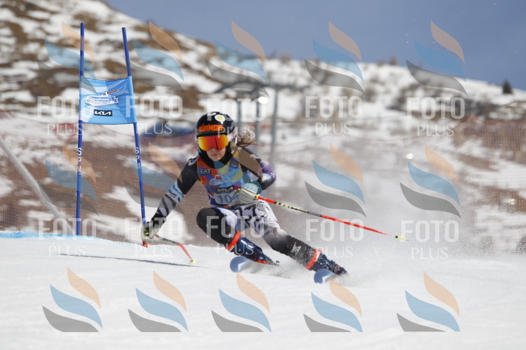 _U3G0372 | holidayphoto