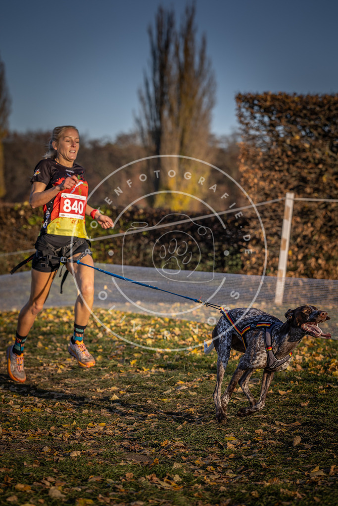 CaniXpix_DV3A3643 | Hundefotografie, Tierfotograf, Pfotenfotografie, Fotoshooting Hund, Hunde Portrait, Hundesport, Hundeportraits, Heideshooting, Hunde, Sportfotograf, Hundefotograf, Turnierhundsport, THS,  - Realisiert mit Pictrs.com