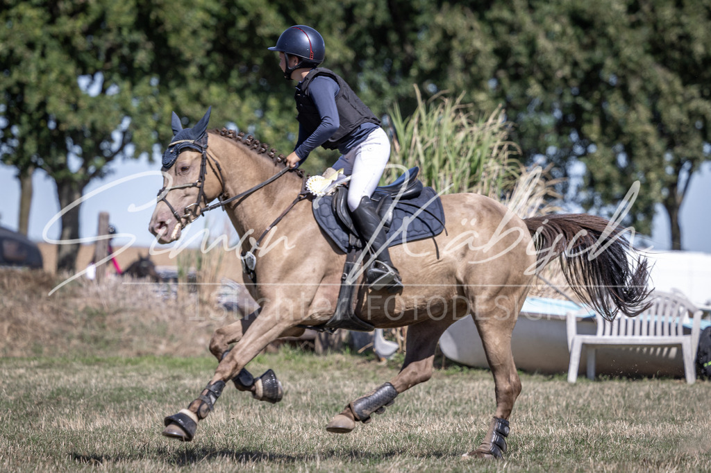 20260906-_3LI4608 | Tierfotografie Pferde, Hunde, Katzen, Haustiere.
Turnierfotografie Reitturniere, Reiten, Springreiten, Dressur in Hanau, dem Main-Kinzig-Kreis und dem Rhein-Main- Gebiet um Frankfurt