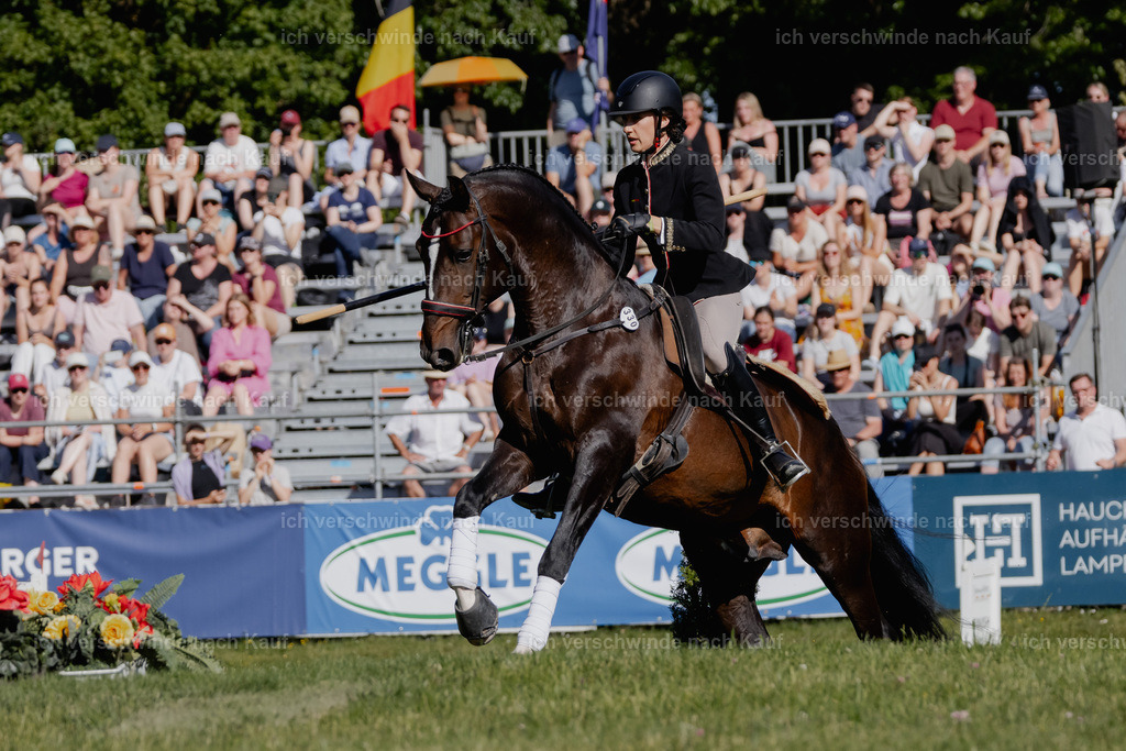 WE_MOS_Stoib_330_PI2025_2369 | Pferd International München 2025