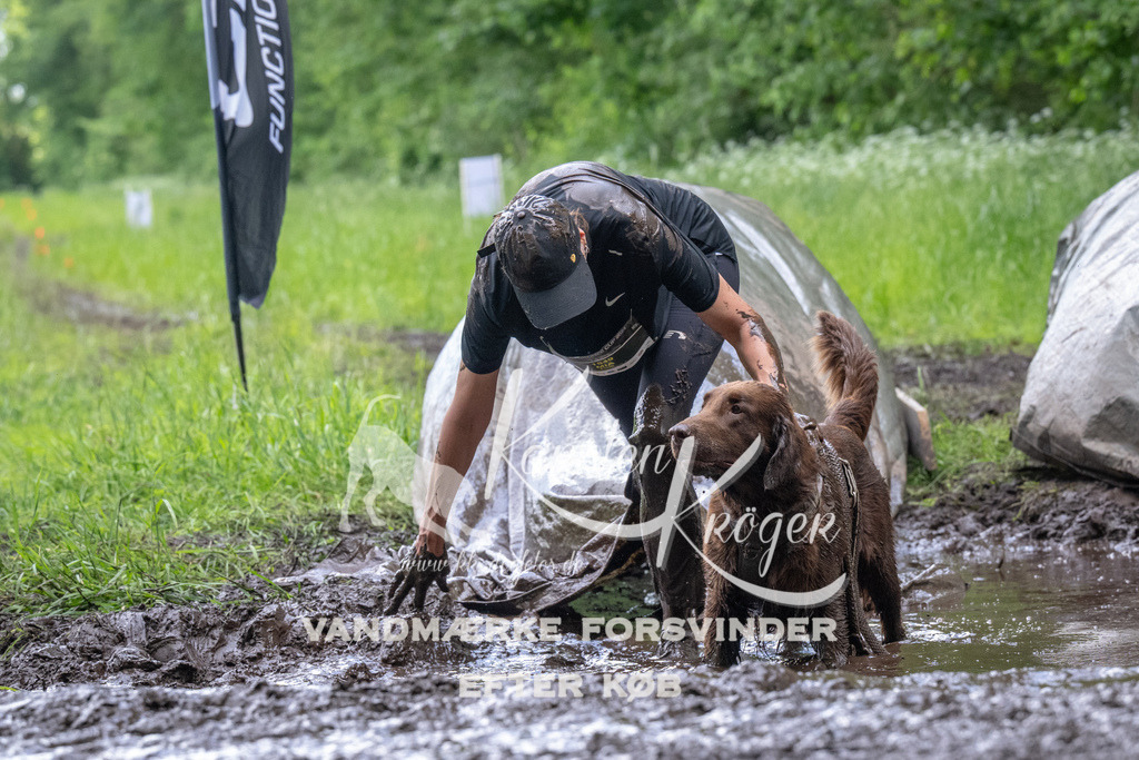 1354_ZZ92883 | kk-dogfotos