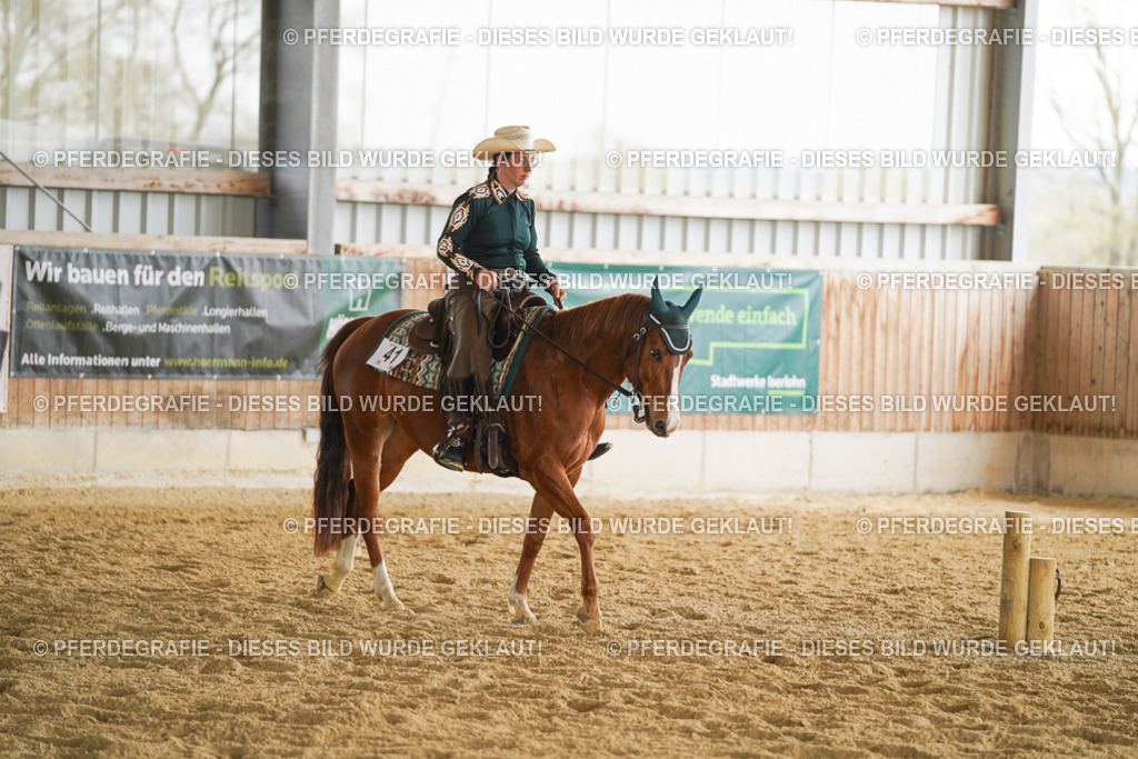 DSC03759 | Pferdegrafie