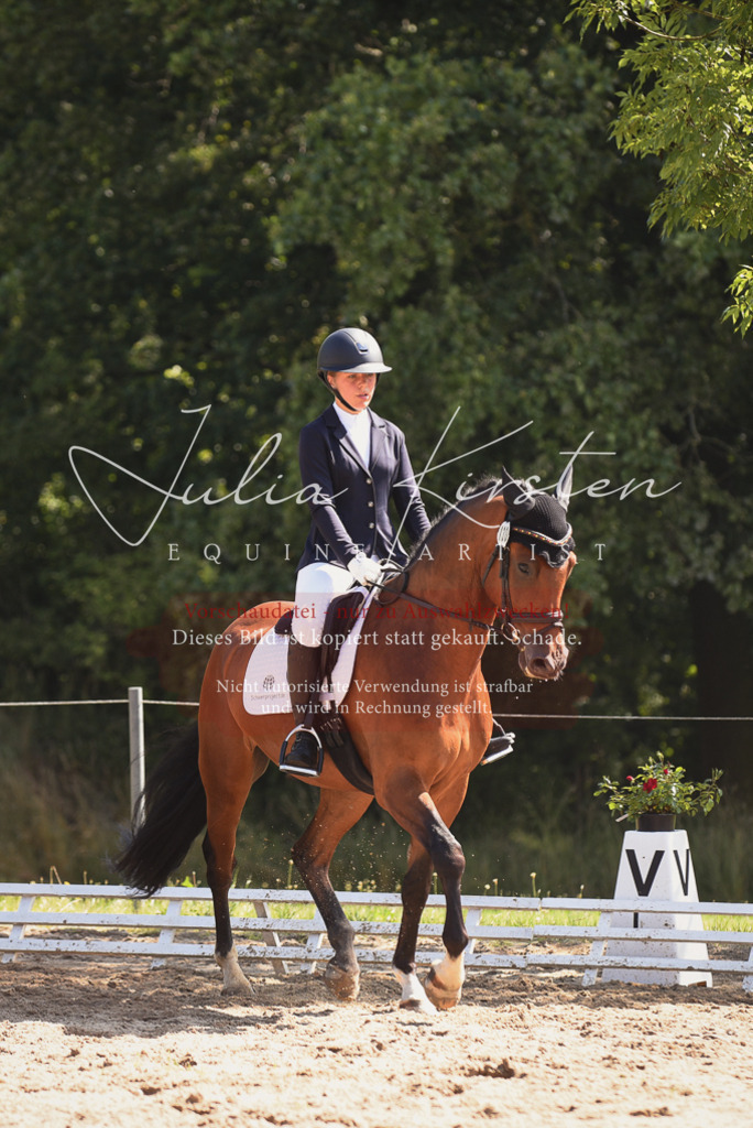 DSC_0557 | Pferde- und Turnierfotografie in Westsachsen. Pferdeportraits, Auftragszeichnungen und intuitive Kunst.