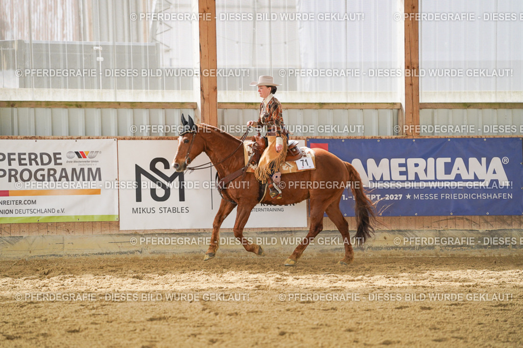 DSC04846 | Pferdegrafie