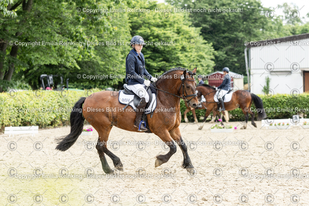 CL5A7559 | Emilia Reinking Fotografie - Realisiert mit Pictrs.com