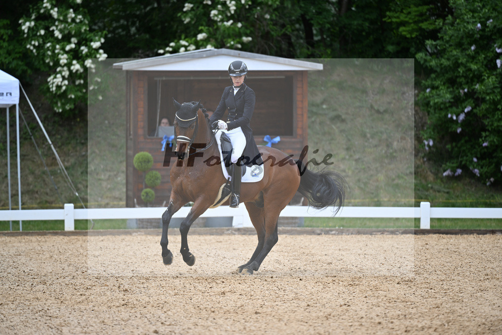 Sudhoelter_Meggles Long Island_26264891 | hf-fotografie - Realisiert mit Pictrs.com