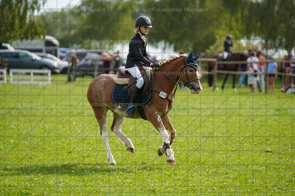 20230917-FAH09222 | Landsberg am Lech, 2023, Kaufbeuren, Kempten, Allgäu, Turnierfotografen Bayern, Fotoagentur Herrmann, Turnierbilder, Reitsport Fotos, Pferdefotograf, Augsburg, Bad Tölz, Dachau, Karlsfeld, Memmingen, Buchloe, Schwabmünchen
