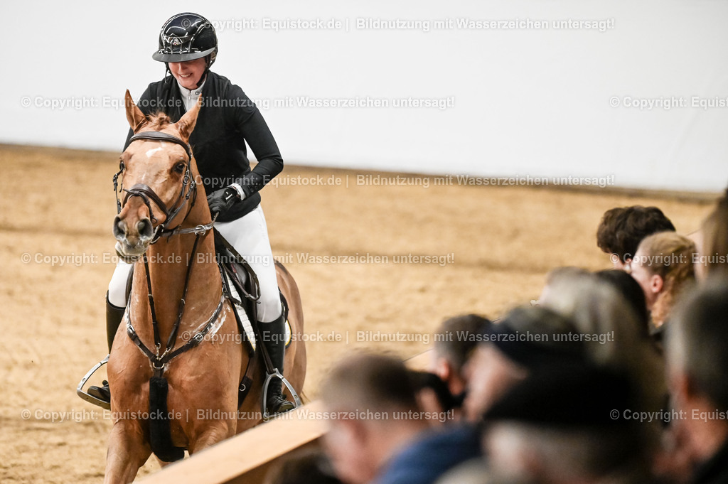 20260307_Hengstvorstellung-Marbach_0172 | equistock
