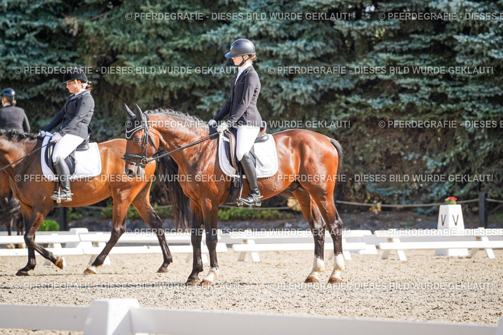 DSC00333 | Pferdegrafie