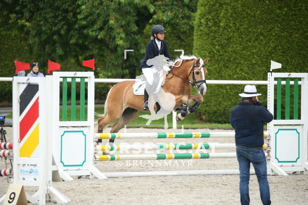 DL2Q0339 | Willkommen bei Brunnmayr - Design & Fotografie – Ihrem Spezialisten für Reitturniere und Pferdeveranstaltungen in Oberösterreich, Salzburg und Bayern! Seit über 17 Jahren sind wir leidenschaftlich dabei.