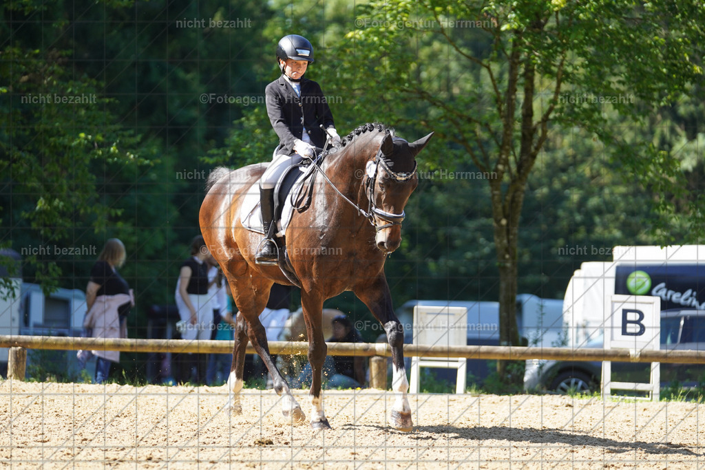 20240706-FAH04793 | Grafing Turnierfotos, Reitverein Ebersberg, Turnierfotografen Bayern, reitsportbilder, Pferdefotograf, reitsportfotograf, Sportbilder, Reitsportfotografie, Fotoagentur Herrmann, Turnierfotograf