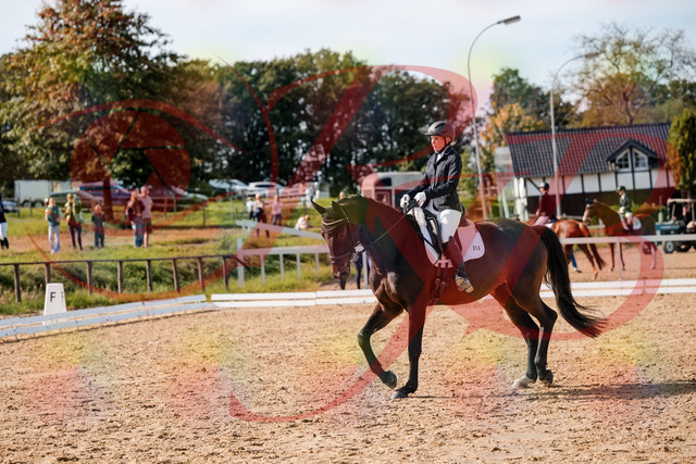2026_10_03_Siefer-Hof_133620_Z63_96783894 | Professionelle Reitsport-, Turnier- und Eventfotografie von Robert Broda. Galerien mit ausgewählten und bearbeiteten Bildern direkt online ansehen und bestellen.