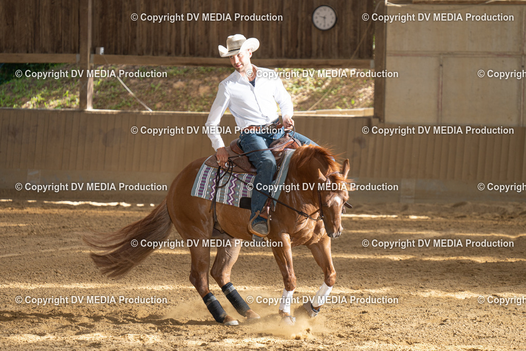 DSC00334 | dv-media-shop - Realisiert mit Pictrs.com