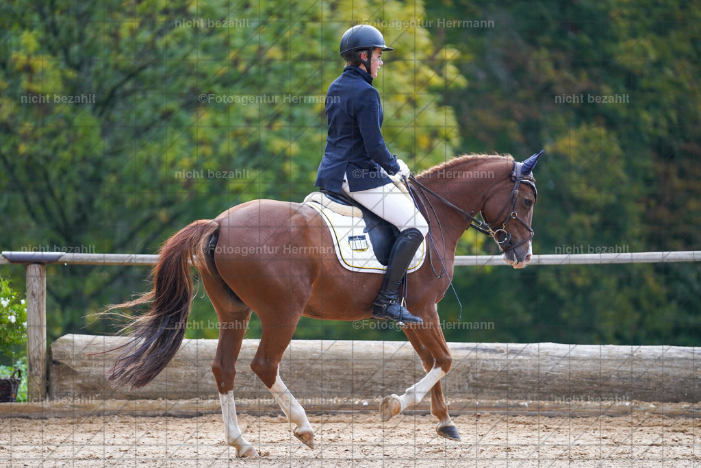 20221008-FAH00724 | Diessen am Ammersee, 2022, Dressur- und Springturnier, Reitsportbilder, Turnierfotografen Bayern, Pferdefotografen, Fotoagentur Herrmann, Turnierbilder
