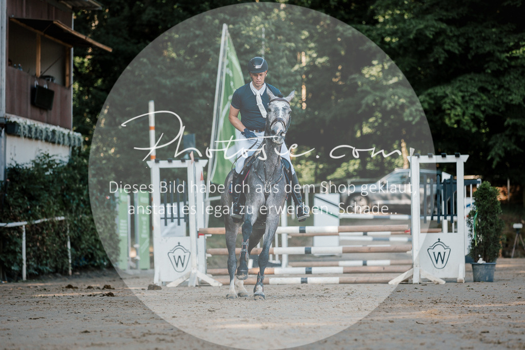 3I6A6328 | Stimmungsvolle Portraits und Reitsportfotografie im Ruhrgebiet und im Münsterland.

Pferdefotografie, Hundefotografie, Tierfotografie, Reportagen, Portraits von Tier und Mensch, Turnierfotografie in Bochum, Recklinghausen, Marl, Haltern am See, Dülmen.. - Realisiert mit Pictrs.com