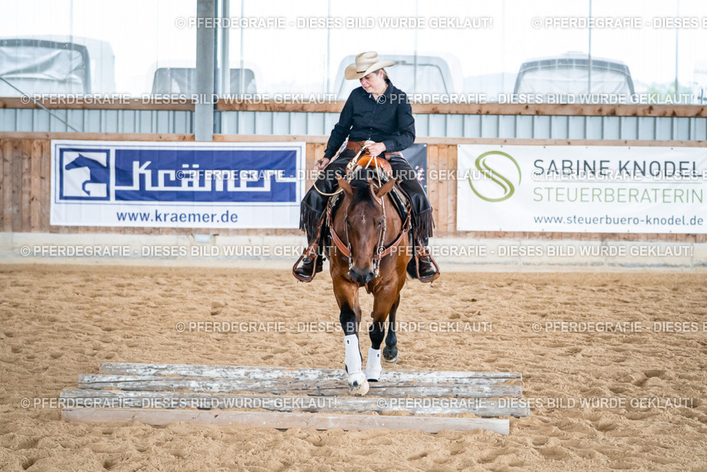 DSC03666 | Pferdegrafie