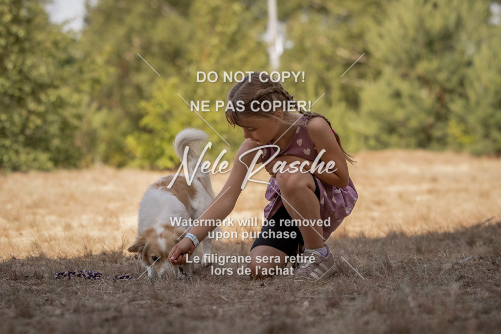 nelerasche_soDD2_310 | nelerasche