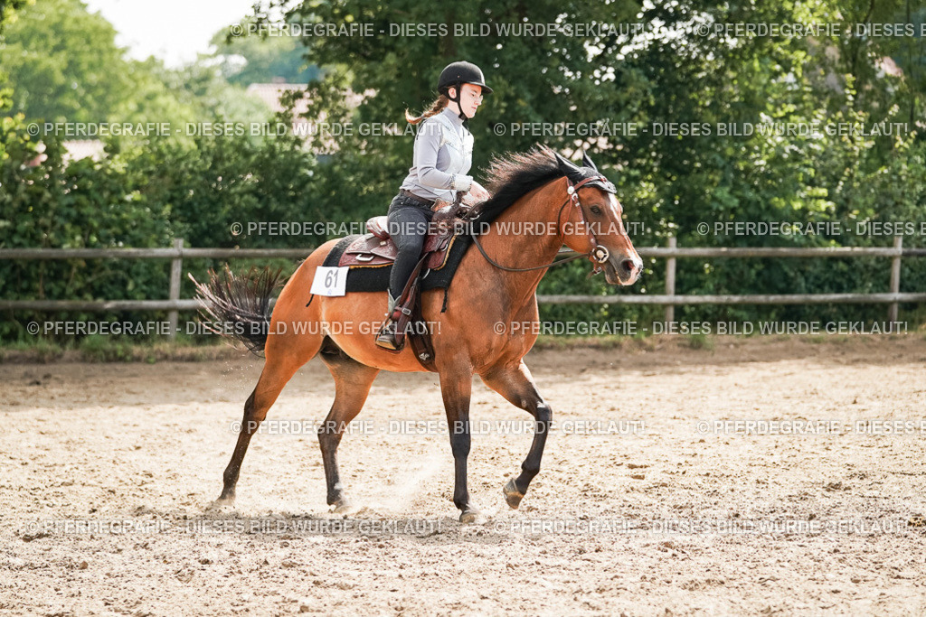 DSC04989 | Pferdegrafie