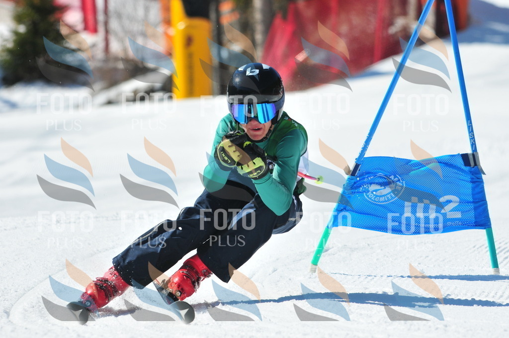 C3464 | holidayphoto