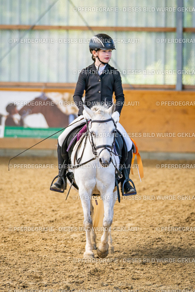 DSC02781 | Pferdegrafie