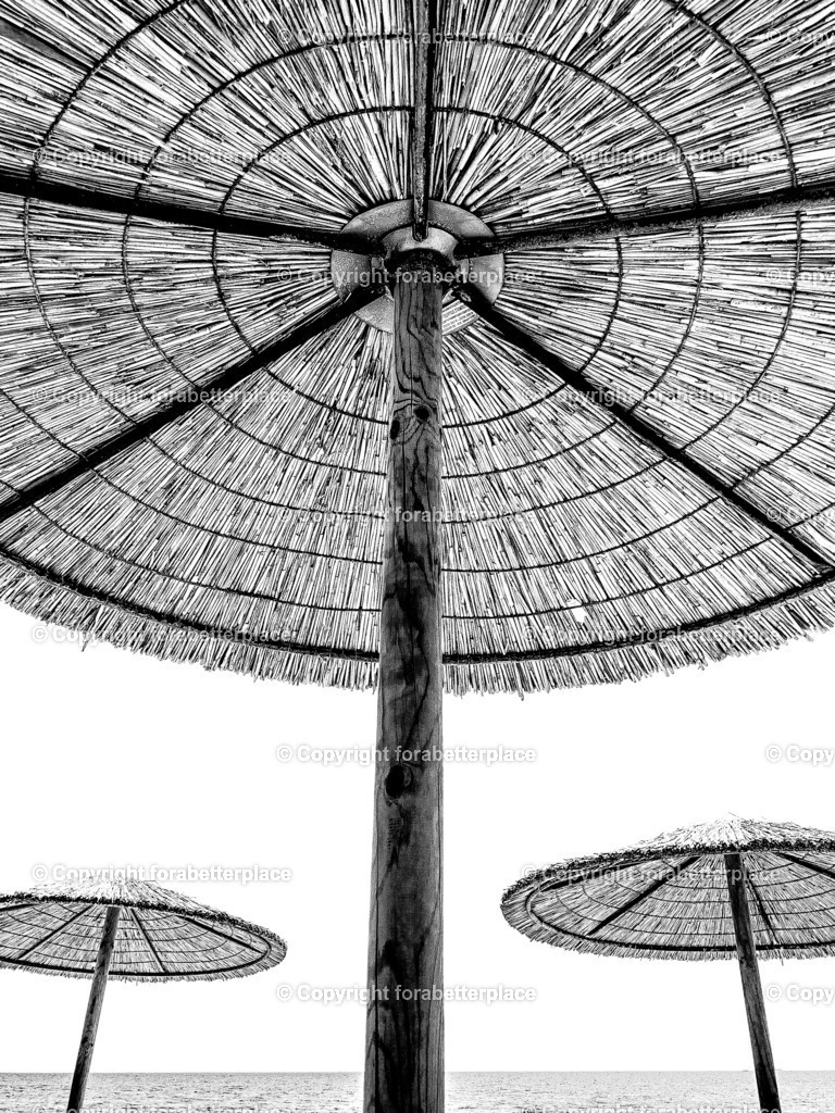 IMG_7305 | ForABetterPlace - Realisiert mit Pictrs.com