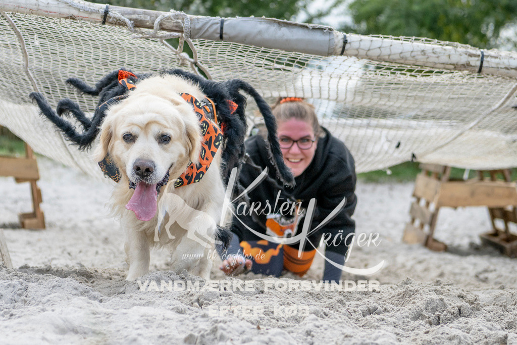 1226_ZZ91461 | kk-dogfotos