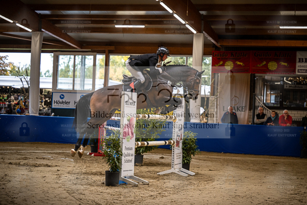 DOS_0043 | Entdecke hochwertige Reitturnierfotos von Foto Oger. Professionell, emotional und authentisch – jetzt Lieblingsmomente im Shop bestellen. - Realisiert mit Pictrs.com