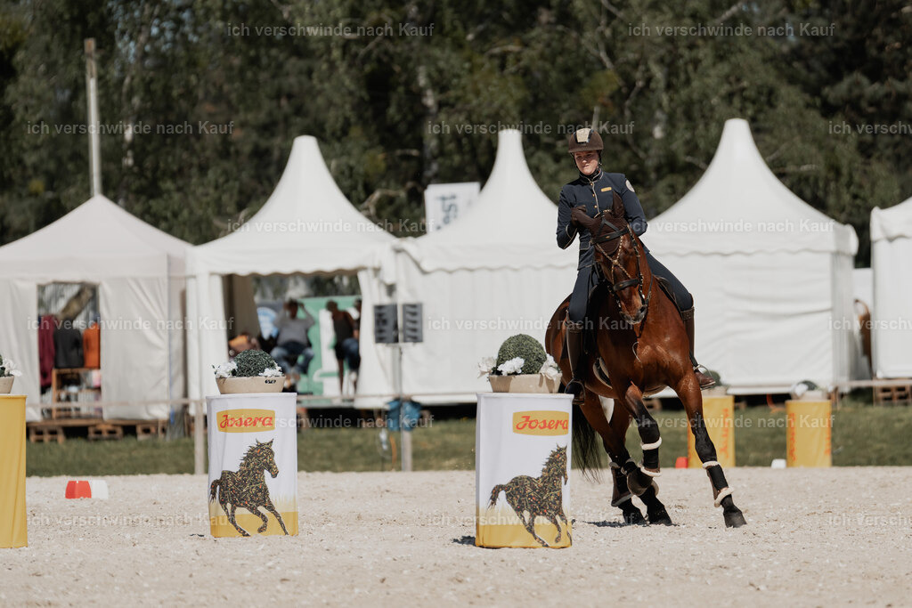 WE_ST_Stoib_340_PI2025_1383 | 330Pferd International München 2025