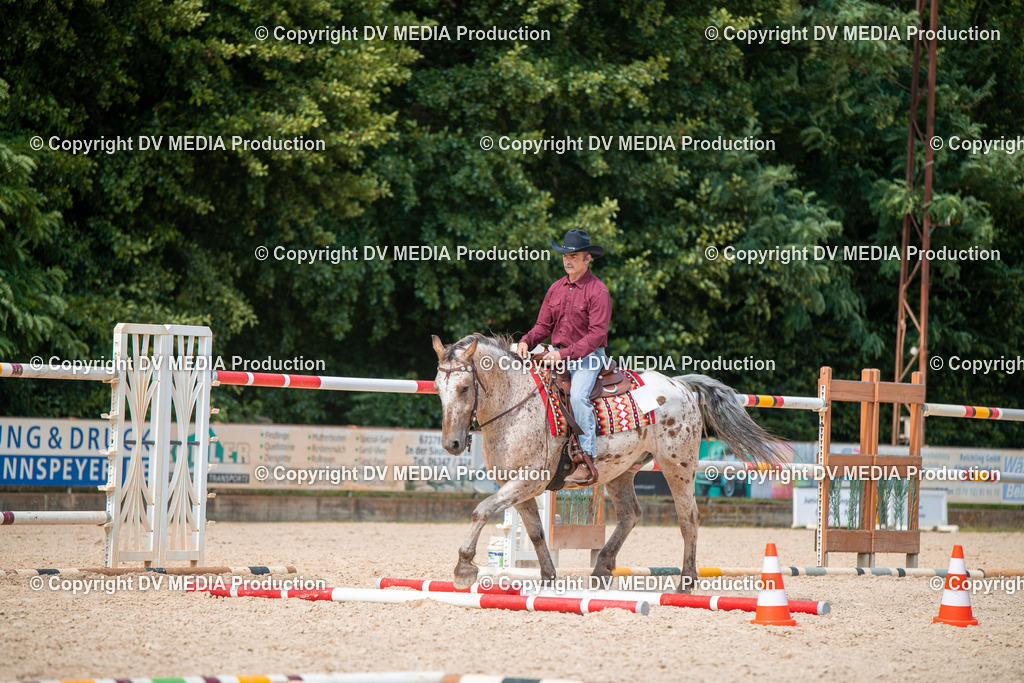 EWP_6784 | dv-media-shop - Realisiert mit Pictrs.com