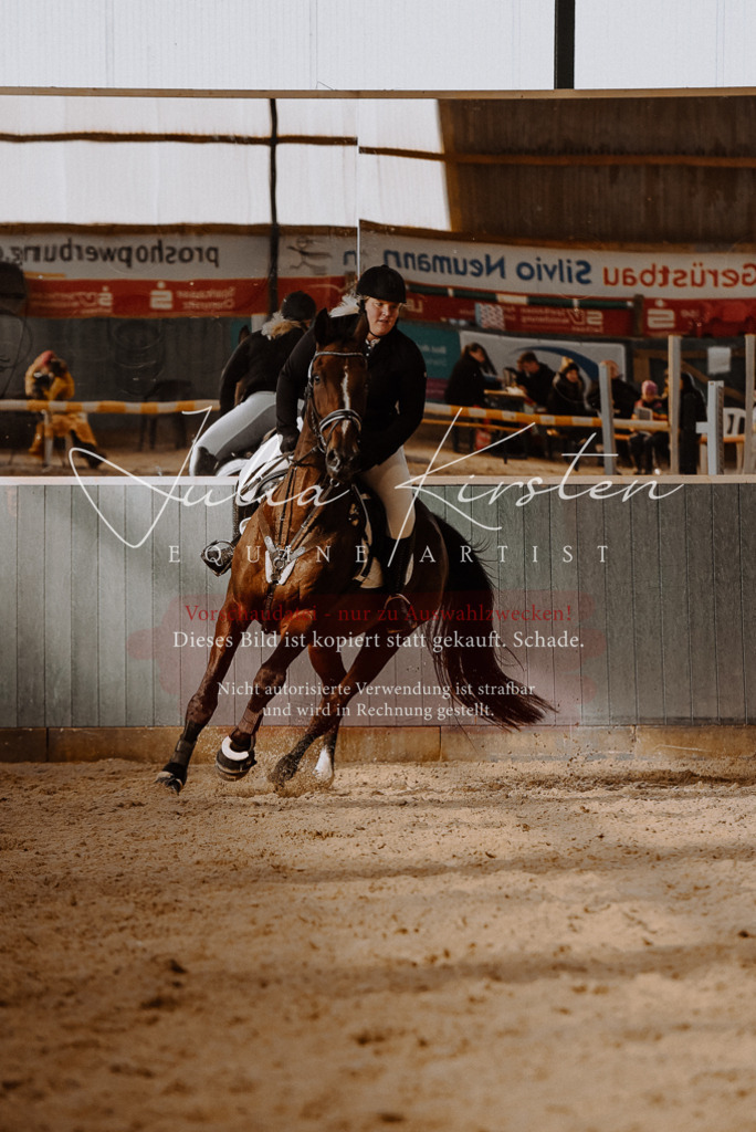 DSC_7476 | Pferde- und Turnierfotografie in Westsachsen. Pferdeportraits, Auftragszeichnungen und intuitive Kunst.