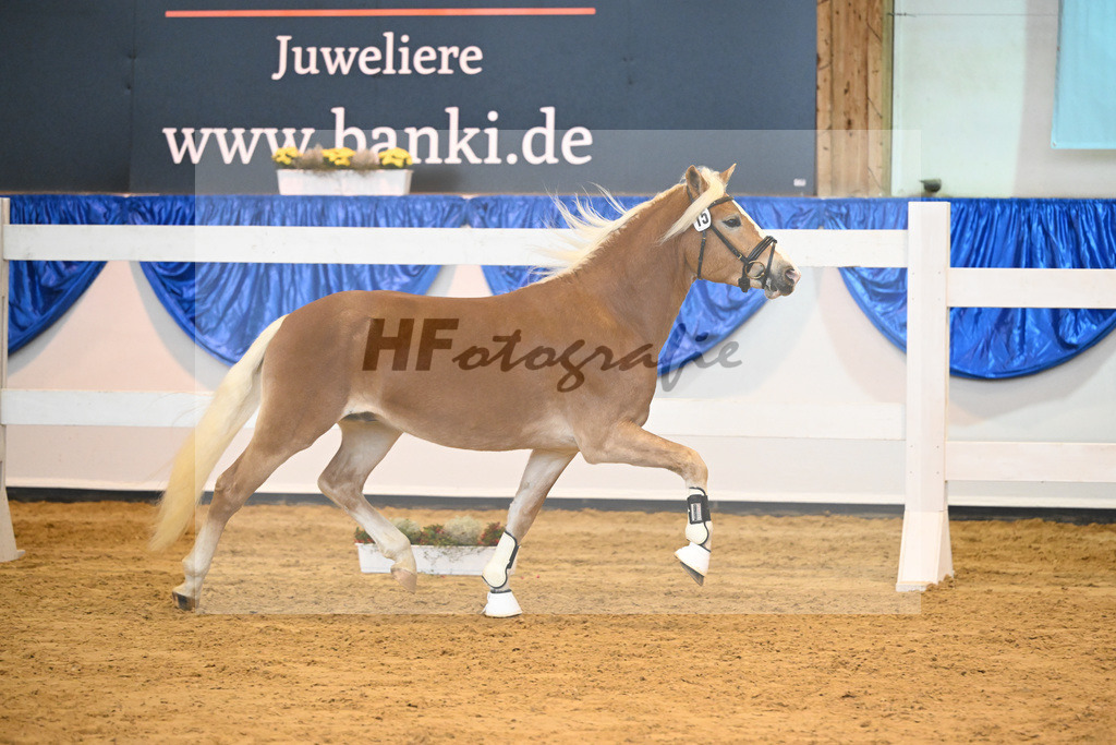 Kat-Nr. 15 Stubai v. Sternzauber_Meier_60220227 | hf-fotografie - Realisiert mit Pictrs.com