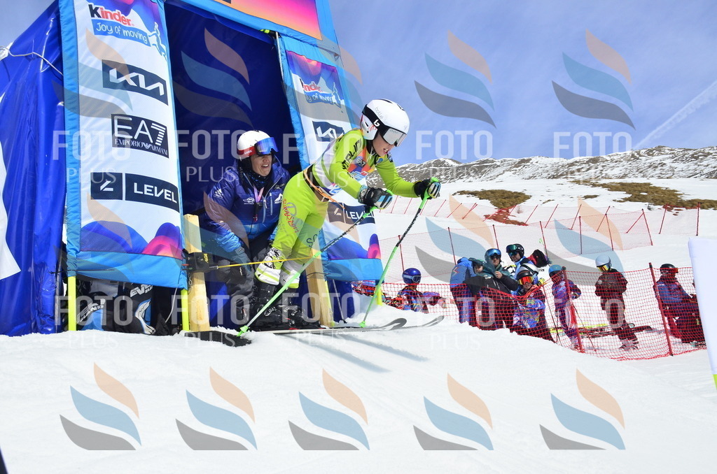 _ELE1659 | holidayphoto