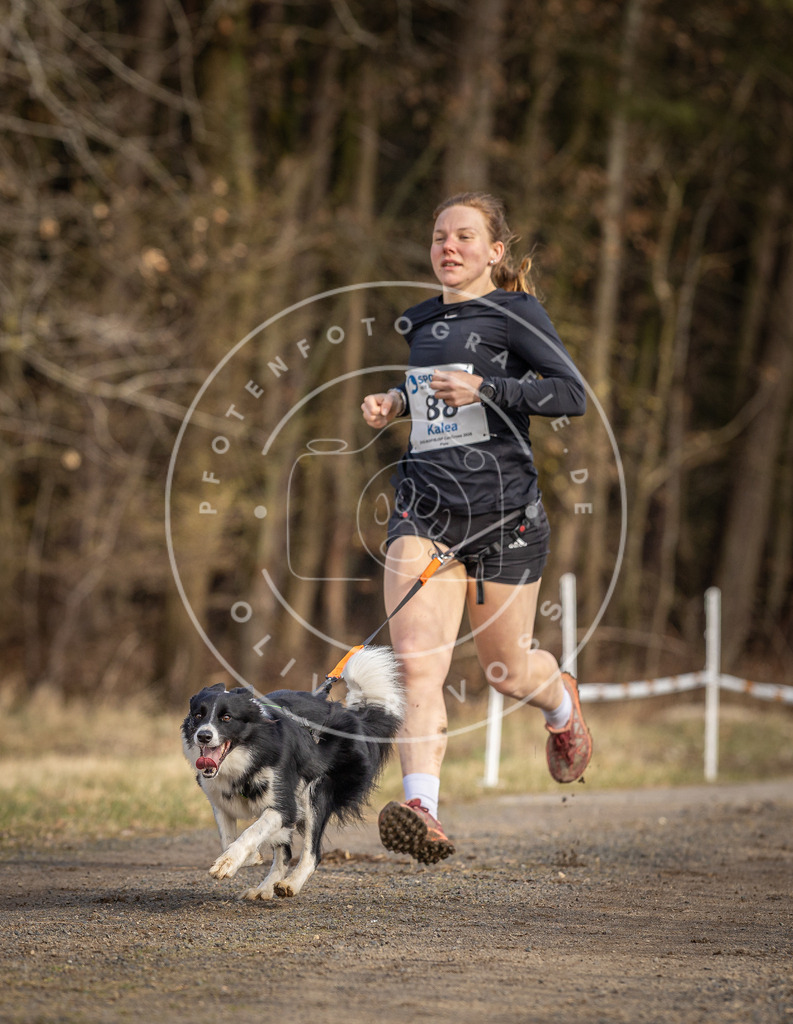DV3A3885 | Hundefotografie, Tierfotograf, Pfotenfotografie, Fotoshooting Hund, Hunde Portrait, Hundesport, Hundeportraits, Heideshooting, Hunde, Sportfotograf, Hundefotograf, Turnierhundsport, THS,  - Realisiert mit Pictrs.com