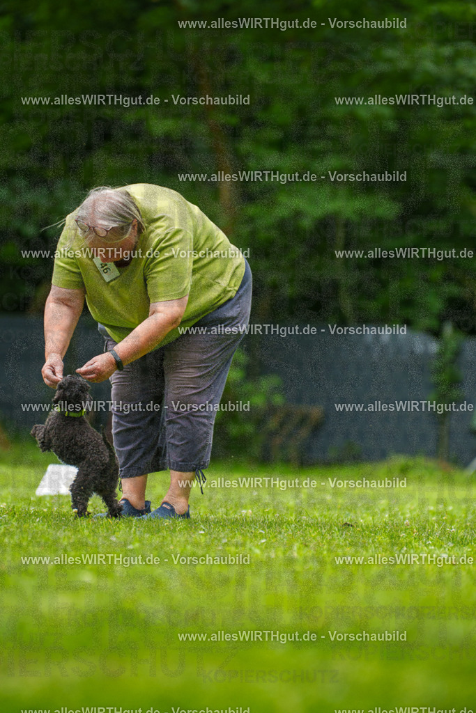 @allesWIRTHgut_Tierfotografie - www.allesWIRTHgut.de - 7R500476 | Professionelle Tierfotografie in Mönchengladbach von Daniel Wirth (allesWIRTHgut). Liebevolle & natürliche Bilder von Hunden & Katzen für unvergessliche Erinnerungen.