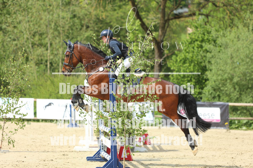 IMGM5791 | pl-fotografie