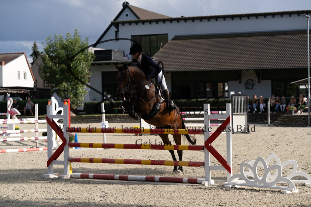 A7V07818 | Pferdefotograf