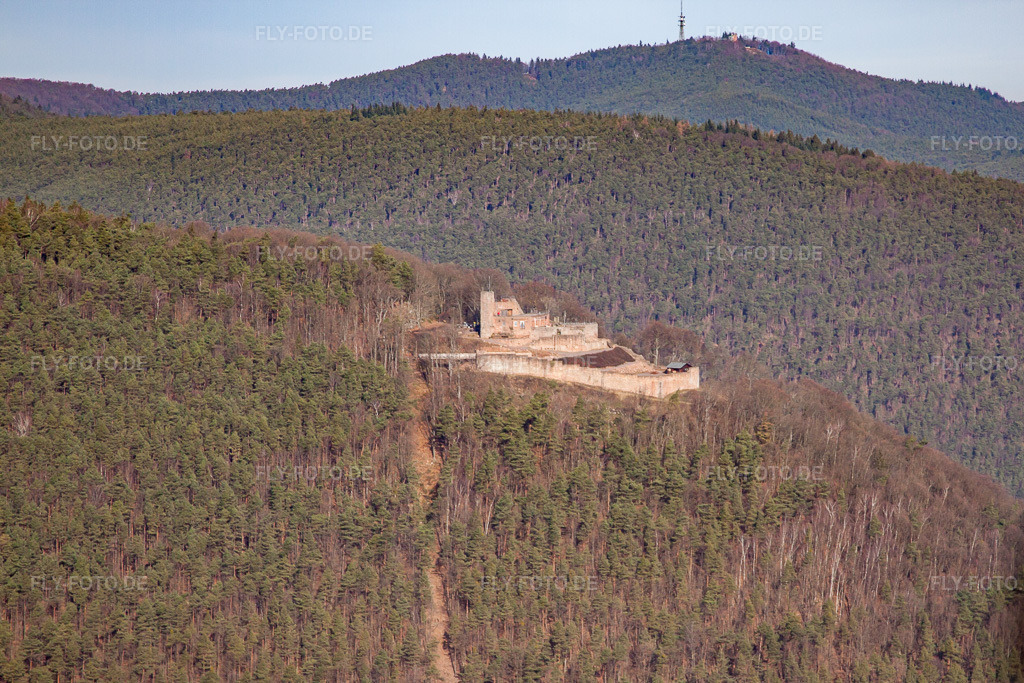 Luftbild: Burgruine Rietburg in Rhodt unter Rietburg im Bundesland Rheinland-Pfalz in Deutschland. Foto: IMG_61562.jpg vom 18.01.2014 durch Werner Riehm/FLY-FOTO.de