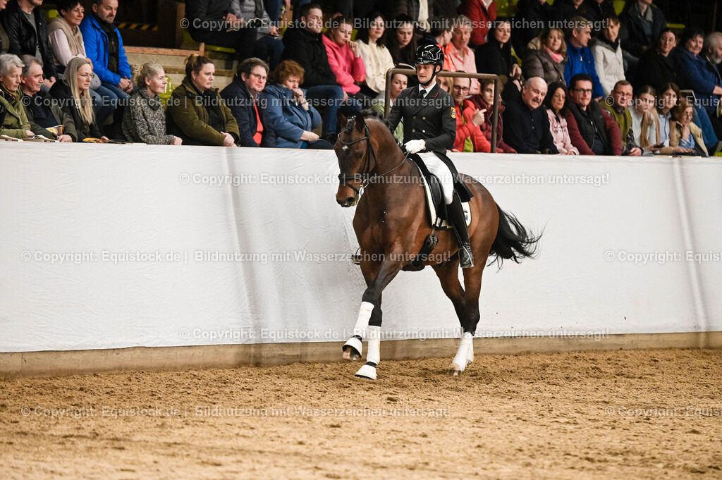 20260307_Hengstvorstellung-Marbach_0368 | equistock