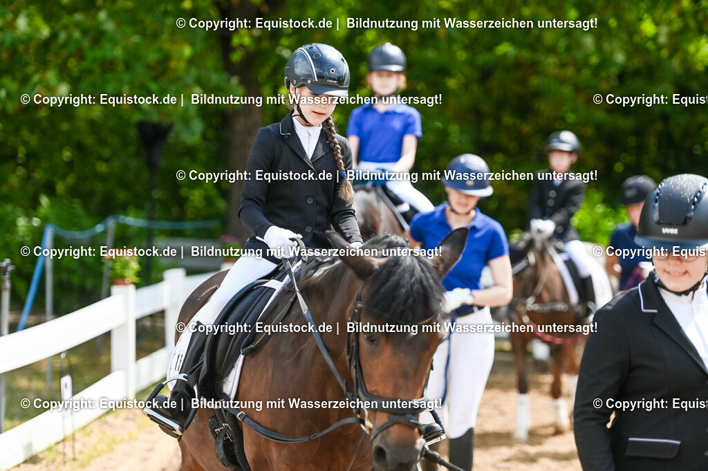 20230716_11_Führzügel-WB_0003 | equistock