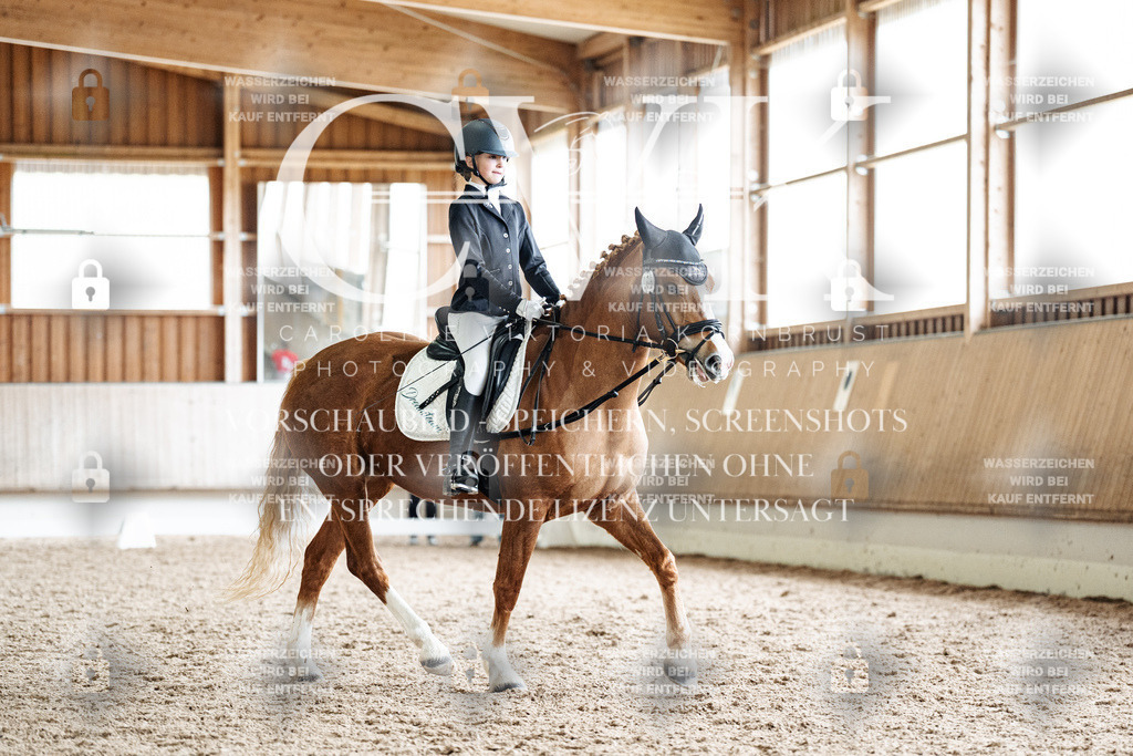 CK900797 | Turnierfotografie Pferdefotografie Trier Rheinland-Pfalz Pferdesport Reitsport Tierfotografie Sportfotografie Pferdevideo Pferdevideografie Equestrianvideography equestrianphotography  - Realisiert mit Pictrs.com