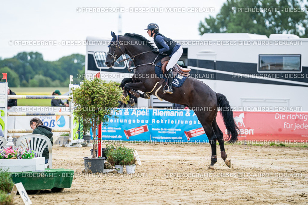 DSC06811 | Pferdegrafie