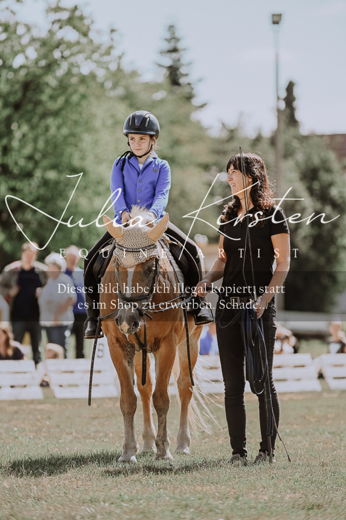 DSC_7545 | Pferde- und Turnierfotografie in Westsachsen. Pferdeportraits, Auftragszeichnungen und intuitive Kunst.