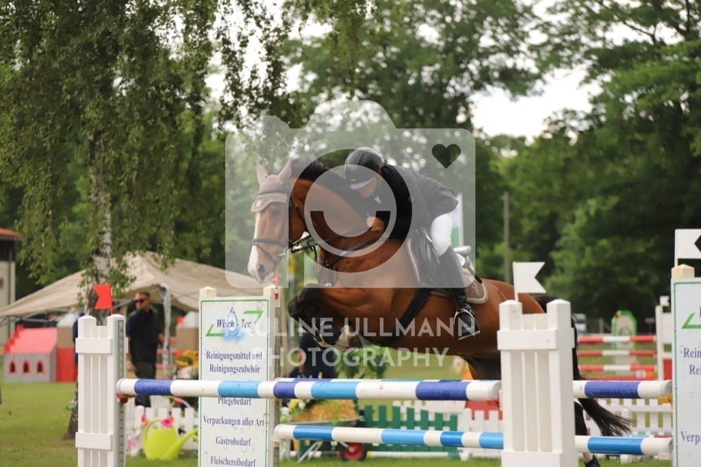 IMG_8342 | Pauline Ullmann Photography - Realisiert mit Pictrs.com