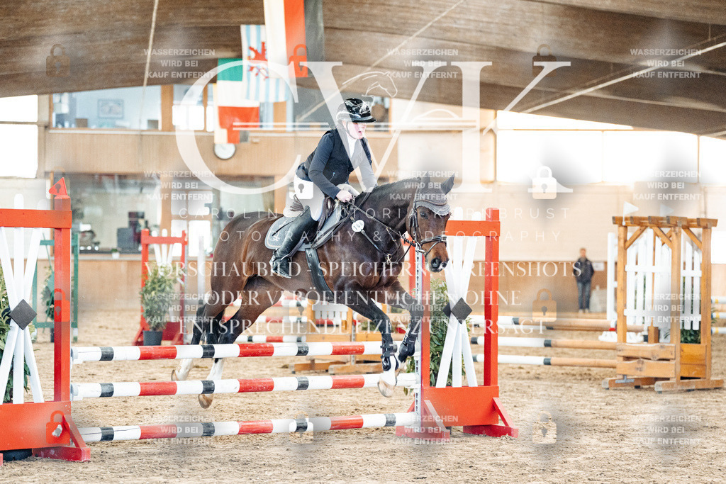 CK904019 | Turnierfotografie Pferdefotografie Trier Rheinland-Pfalz Pferdesport Reitsport Tierfotografie Sportfotografie Pferdevideo Pferdevideografie Equestrianvideography equestrianphotography  - Realized with Pictrs.com