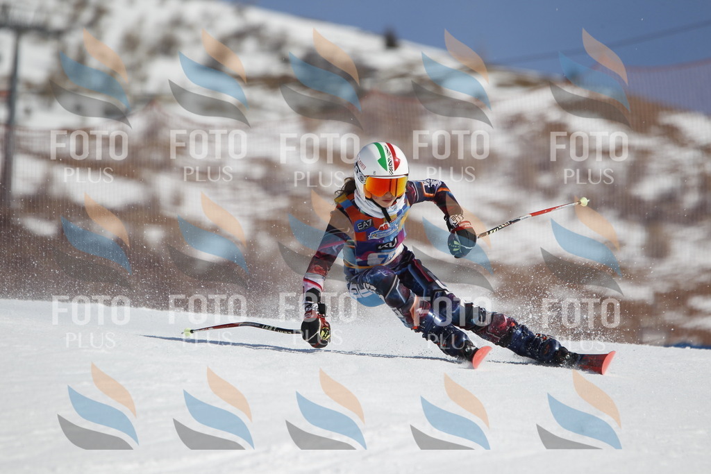 _U3G9896 | holidayphoto