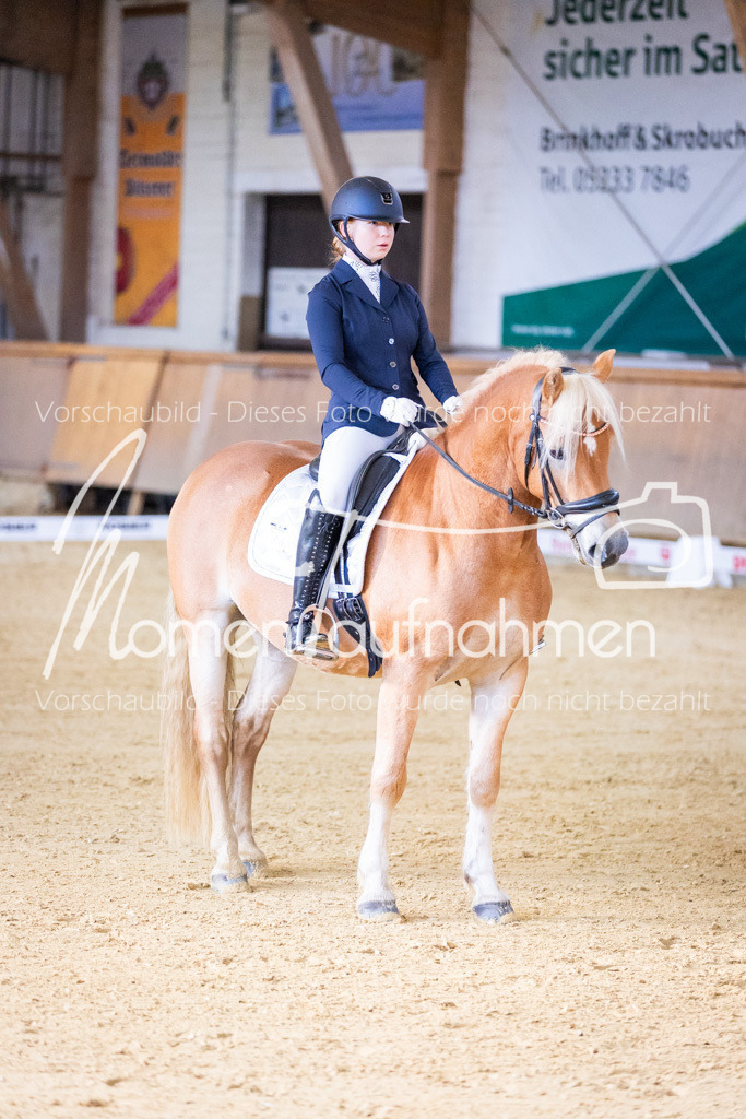 Sth-A-Dre-1St-073 | MomenTaufnahmen Pferdesportfotos