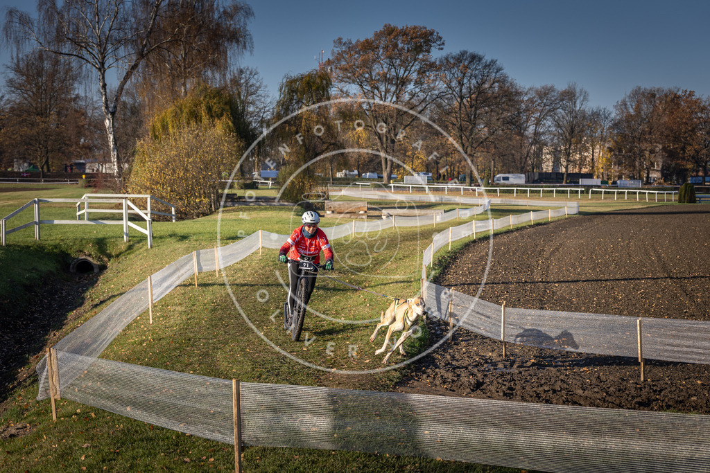 CaniXpix_DV3A1915 | Hundefotografie, Tierfotograf, Pfotenfotografie, Fotoshooting Hund, Hunde Portrait, Hundesport, Hundeportraits, Heideshooting, Hunde, Sportfotograf, Hundefotograf, Turnierhundsport, THS,  - Realisiert mit Pictrs.com