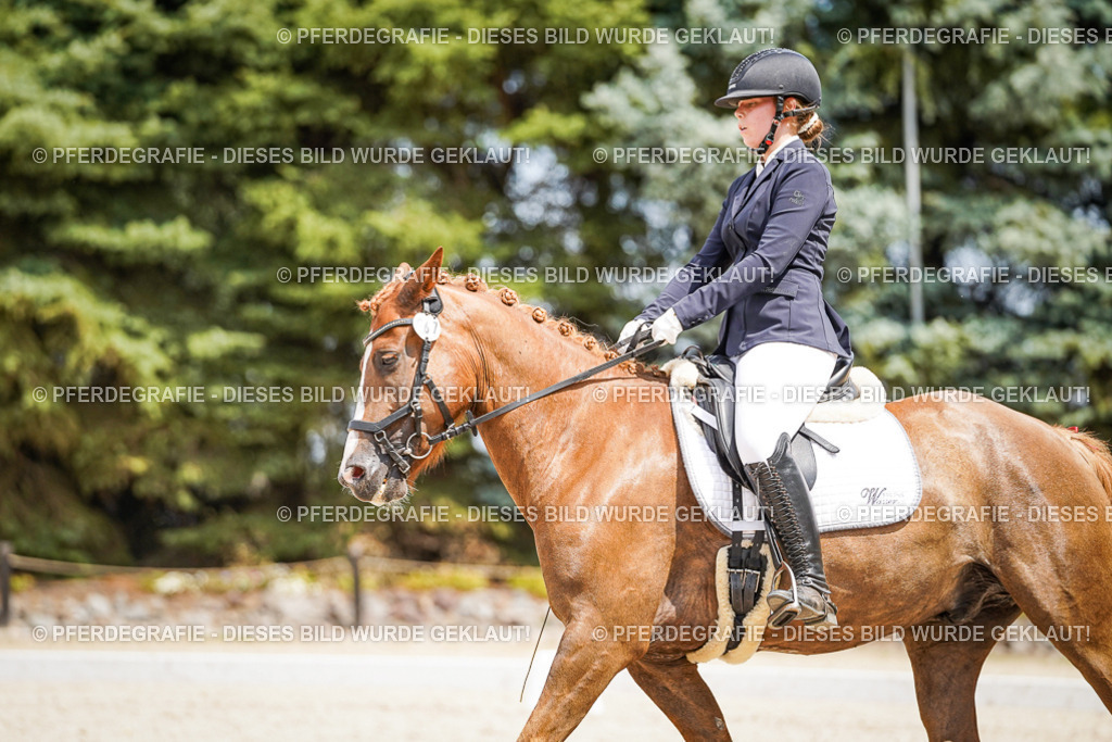 DSC03280 | Pferdegrafie