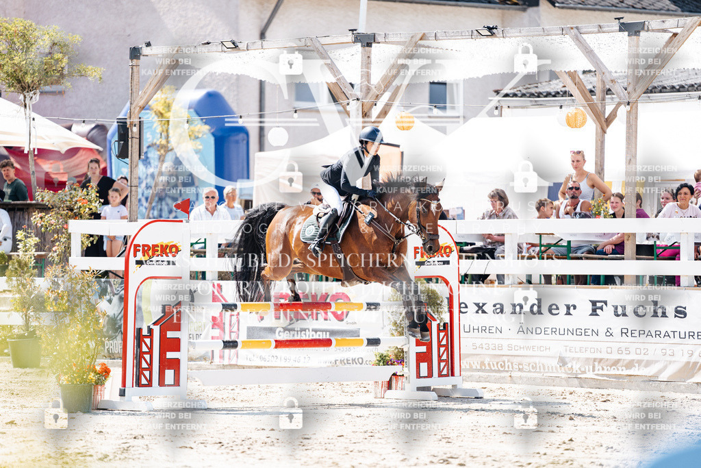 CK908732 | Turnierfotografie Pferdefotografie Trier Rheinland-Pfalz Pferdesport Reitsport Tierfotografie Sportfotografie Pferdevideo Pferdevideografie Equestrianvideography equestrianphotography  - Realisiert mit Pictrs.com